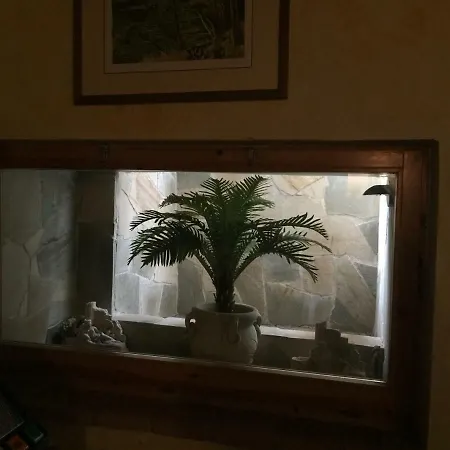 Appartement Casa Ruggy *