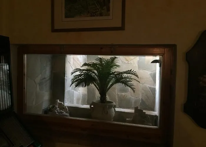 Lejlighed Casa Ruggy *